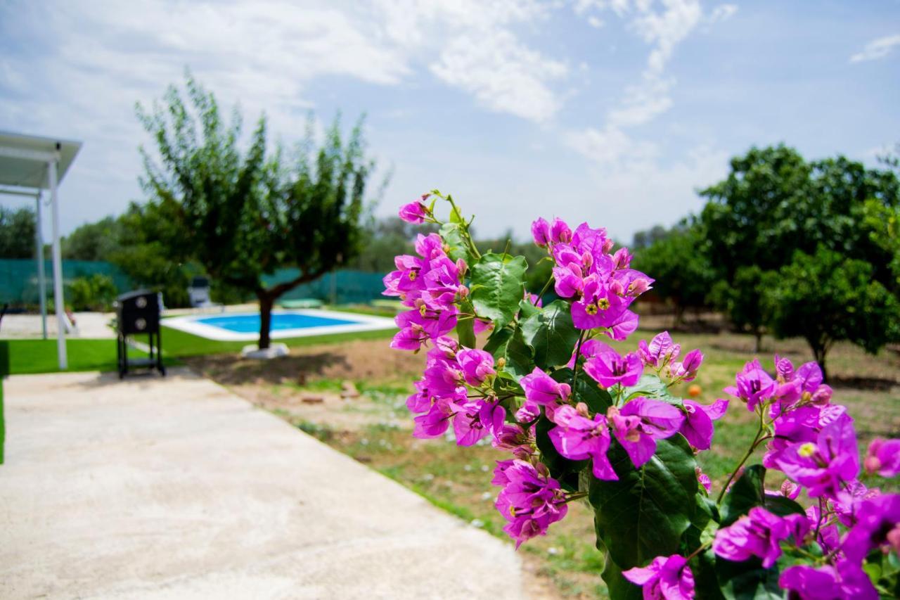 La Casa Del Carreron Holiday home Montilla